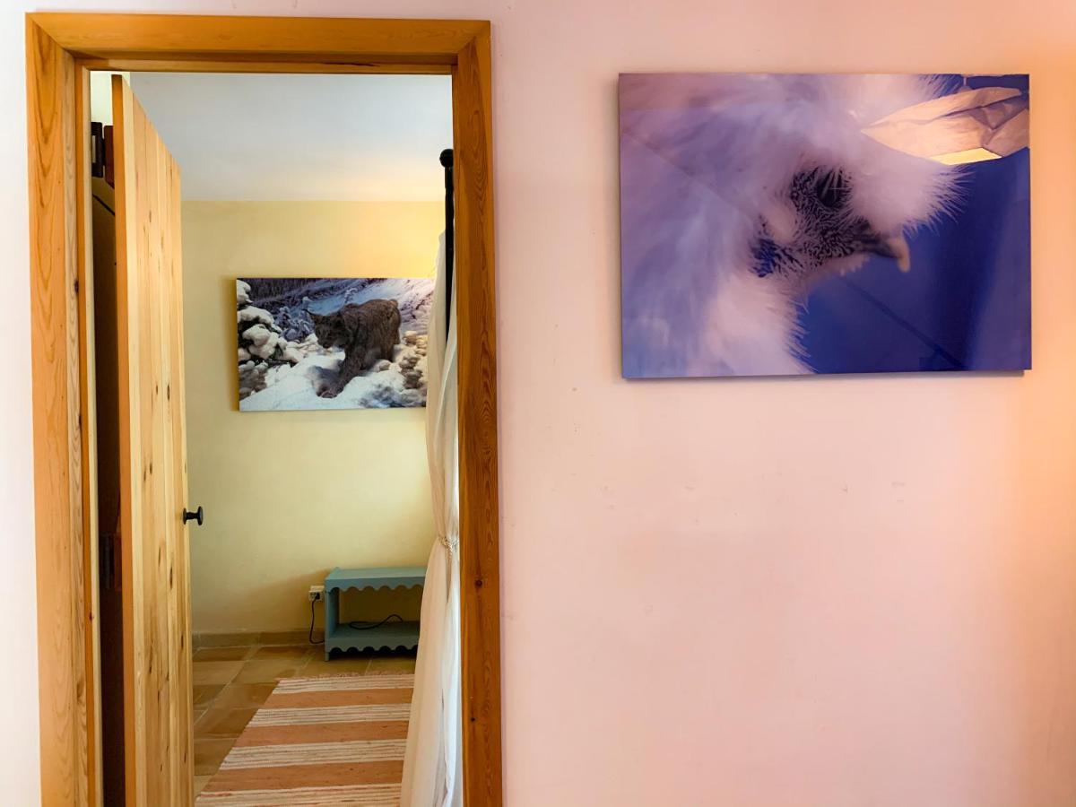 Holiday Home Les Plachettes Flobecq Exteriör bild